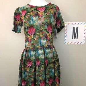 LuLaRoe Amelia Dress - M - NWT